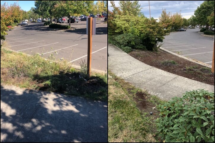 Landscape Maintenance